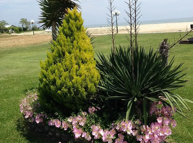 Akrogiali Hotel 2*